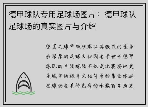 德甲球队专用足球场图片：德甲球队足球场的真实图片与介绍